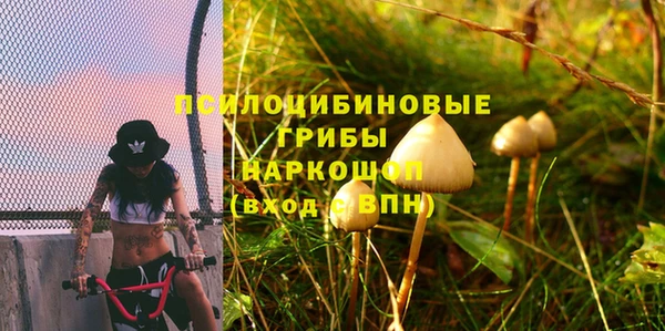 мяу мяу мука Магадан