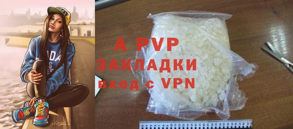 мяу мяу мука Магадан