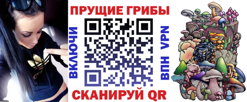 Купить закладки  Чехов  Галлюциногенные грибы ЛСД 